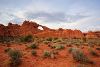 Beautiful rock formations in Arches National Park, Utah, USA