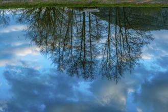 Blue sky with clouds and trees reflected in Lake Silz, Silz, Rhineland-Palatinate, Germany