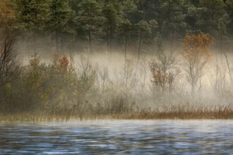 Gorgeous autumn landscape with river and misty forest, in the out-of-doors, boat trip on the river