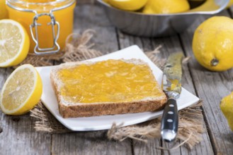 Lemon Juice on a Sandwich with fresh fruits in the background