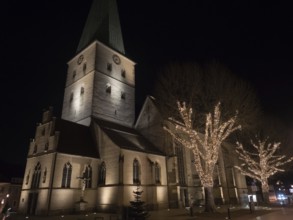 A large church at night with Gothic architecture and illuminated trees in the foreground, Borken,