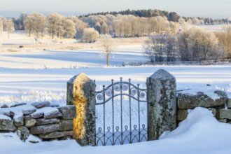 Old iron gate in a snowy winter landscape in the countryside