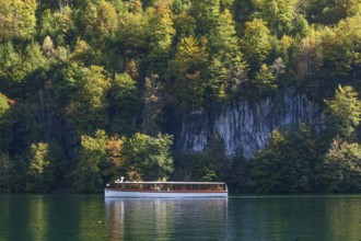 Excursion boat on the Königssee, Schönau, Berchtesgaden National Park, Berchtesgadener Land, Upper