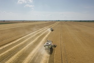 Combine harvester working on a wheat field. Combine harvester Aerial view