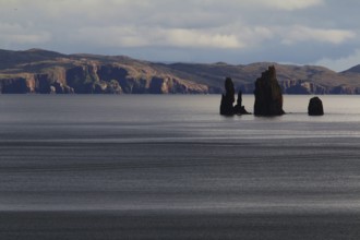 The Drongs seen from Braewick, Eshaness peninsula, Shetland, Scotland, United Kingdom