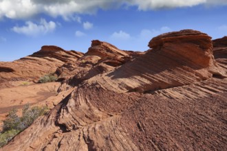 Quaint and picturesque forms cliffs of red sandstone. Walk around the famous Horseshoe Canyon