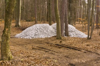 A white cairn in the woods