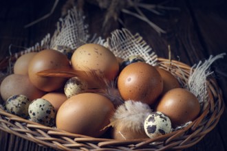 Fresh eggs straight from the farm in a basket