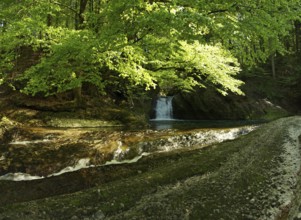 The Upper Argen in the Eistobel near Maierhöfen in the Allgäu