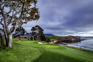 Pebble Beach golf course, Monterey, California, usa