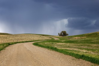 Prairie Storm Clouds in Saskatchewan Canada Rural
