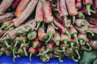 A Lot of Red Chilli Peppers found as food background