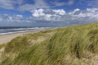 Stenbjerg Landingsplads, Thy, Jutland, Denmark