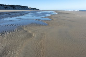 Low tide, which drains the seawater from the North Sea