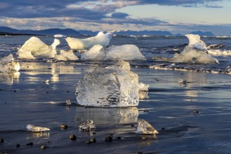 Evening at Diamond beach, Jökulsarln, south coast, Iceland
