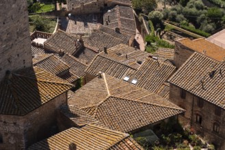 Wide panoramic view over downtown San Gimignano, seen from Torre Grosso, Italy