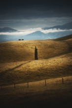 An image of an impression of the south island of New Zealand