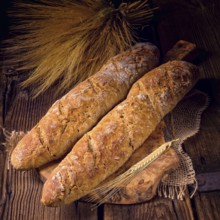 Homemade baguettes