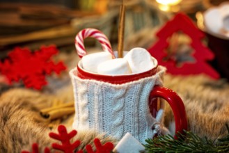 Hot chocolate with marshmallow