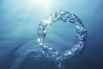 Bubble Ring Underwater ascends towards the Sun
