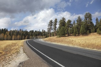 Road to the Grand Canyon. Autumn yellow fields and the magnificent cloudy sky