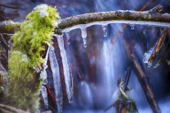 Impressions of the frozen Winterbach