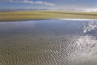 Sandy shallow on a beach of island Vancouver during ocean outflow
