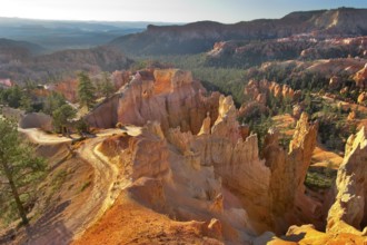 The well-known orange rocks in Bryce canyon in state of Utah USA