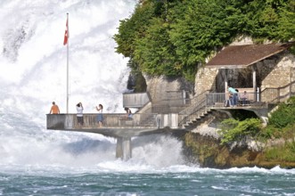Rhine Falls of Schaffhausen