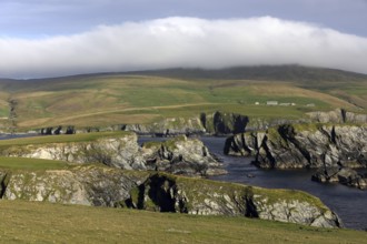 Cliff coast of Southern Mainland, Shetland islands, Scotland, United Kingdom