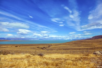 The concept of active and exotic tourism. Flat plain with shallow lake and yellowed grass.