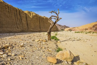 The stone desert in neighborhood of the sea resort of Eilat. Walking route on picturesque Black