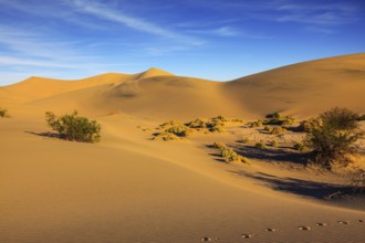 Mesquite Flat Sand Dunes. Bright solar morning in picturesque part of Death Valley. Gentle slopes