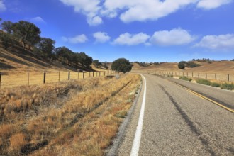 The road goes the distance. A great American highway fenced fence