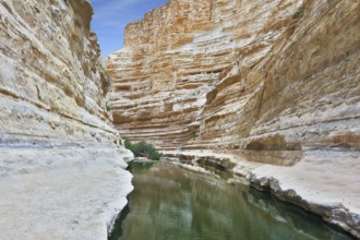 Picturesque valley in the desert. Ein Avdat Canyon, continue the journey
