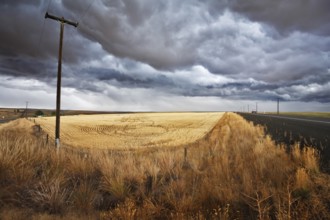 Soil rural road and columns of an electric main to fields of Montana. The thunder-storm begins