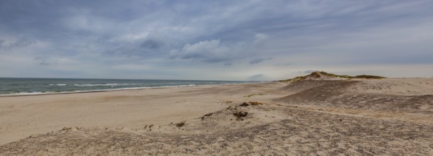 Holmsland Dunes next to Hvide Sande in Denmark has 40 km sandy beaches. Holmsland Dunes is the