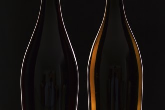 Two different bottles of wine on the black background