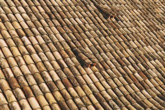 The texture of the old brown shingles on the roof of the building.