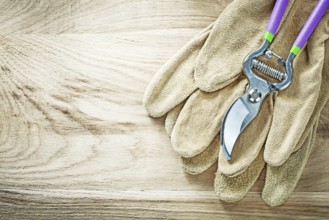 Leather safety gloves secateurs on wooden board gardening concept
