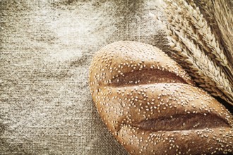 Wheat ears bread on burlap background