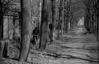 GDR, Berlin, 27.04.1987, Jewish cemetery Weißensee, in spring, drawing man with kippa (Star of