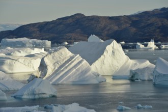 Iceberg near the island of Røde Ø, Scoresby Sund, East Greenland