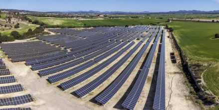Photovoltaic plant between crop fields, Villafranca de Bonany, Majorca, Balearic Islands, Spain