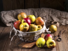 Fresh autumn apples in the basket