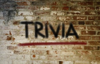 Trivia Concept