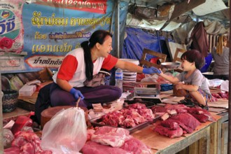 Stall of a meat trader at a market, Luang Prabang, Laos