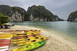 Several colourful kayaks lying on the beach in front of green rocks and calm water under a cloudy