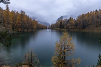 Autumn evening atmosphere, Lake Palpuognasee, Bergün-Filisur, Graubünden, Switzerland