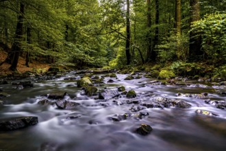 River in the valley - the Löbau water in the Georgewitz scale 1